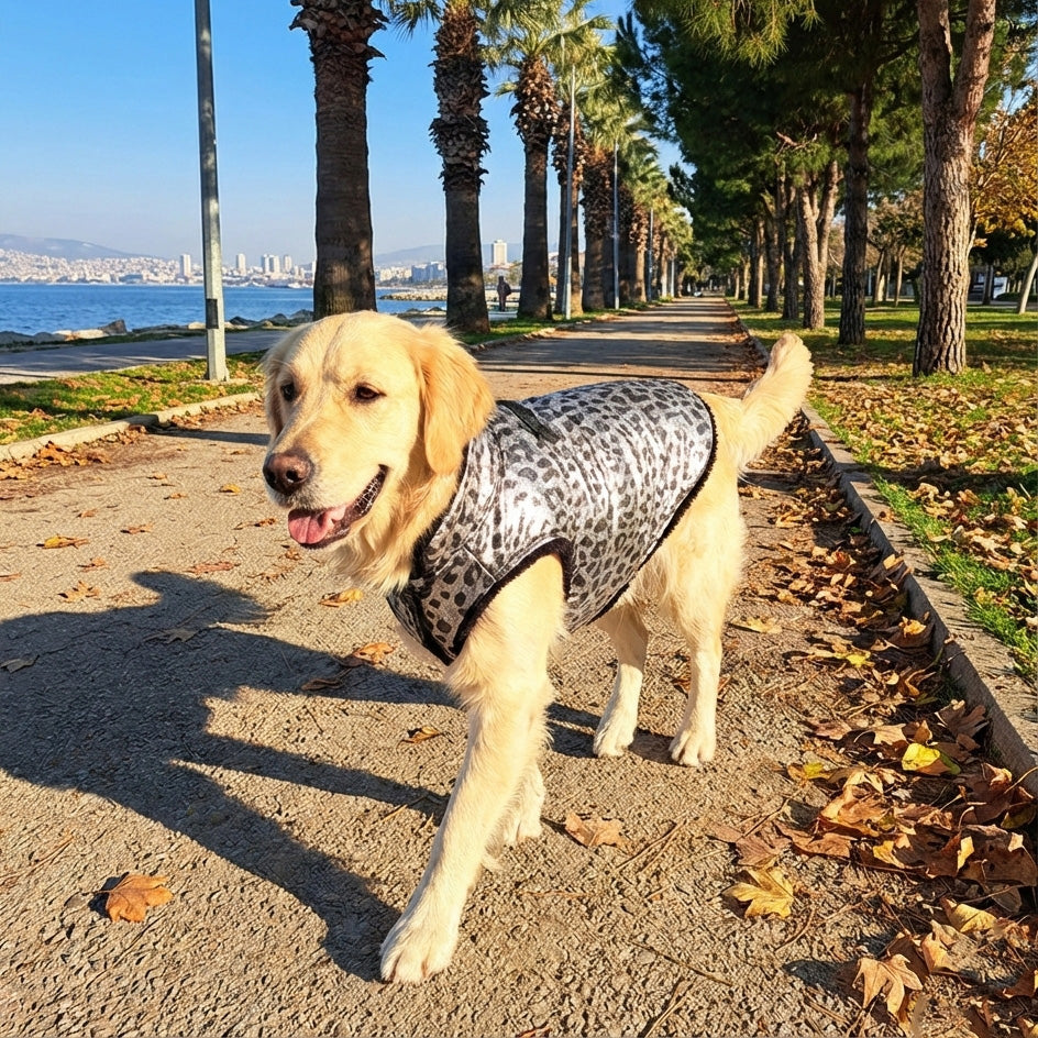 "Silver Safari" Gümüş Leopar Desenli & Siyah Peluş Köpek Yeleği
