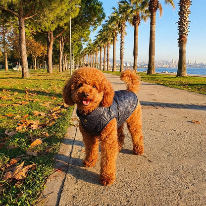 Lüks Kapitone Kışlık Köpek Yeleği - Siyah Deri