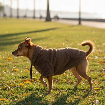 Peluş Kapüşonlu Köpek Kıyafeti - Kahverengi